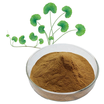 Natural Centella Asiatica Extract Gotu Kola Powder For Skin