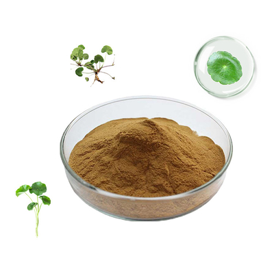 Pharmaceutical Grade Centella Asiatica Extract Powder For Skin Care