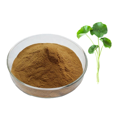 GMP Pure Natural Gotu Kola Extract Asiaticoside Centella Asiatica Powder