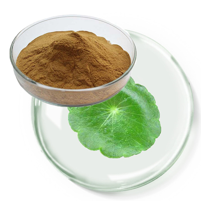 GMP Pure Natural Gotu Kola Extract Asiaticoside Centella Asiatica Powder