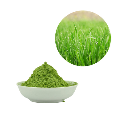 Herbal Extract Food Grade Additives Barley Grass Juice Powder Protecting Liver
