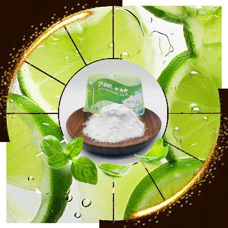 Χημική Ονομασία N Καθαρότητα 99.0% Ελάχ. Super Cool Icy Cooling Agent χωρίς Οσμή και Γεύση WS23