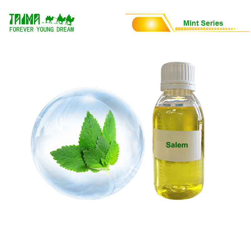 Συμπυκνωμένα Αρώματα Μέντας USP Grade Για E Liquid / Χυμό Ατμίσματος Δωρεάν Δείγματα