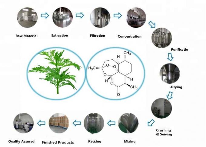 Καθαρό βότανο CAS 63968-64-9 Εκχύλισμα Artemisia Annua C15H22O5 0